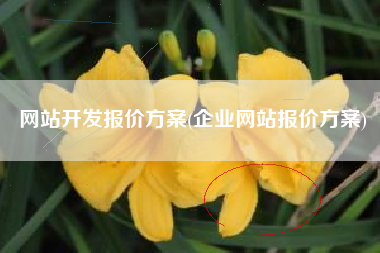 网站开发报价方案(企业网站报价方案)