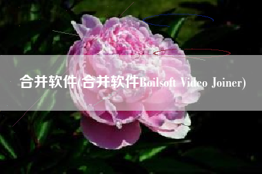 合并软件(合并软件Boilsoft Video Joiner)