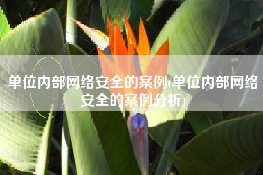 单位内部网络安全的案例(单位内部网络安全的案例分析)