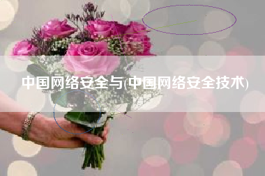 中国网络安全与(中国网络安全技术)