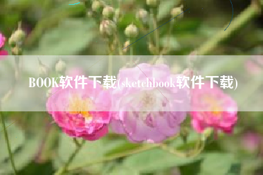 BOOK软件下载(sketchbook软件下载)