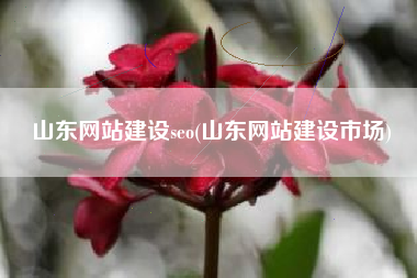 山东网站建设seo(山东网站建设市场)