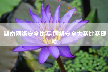 湖南网络安全比赛(网络安全大赛比赛现场)