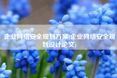 企业网络安全规划方案(企业网络安全规划设计论文)
