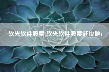 软光软件股票(软光软件股票赶快抛)