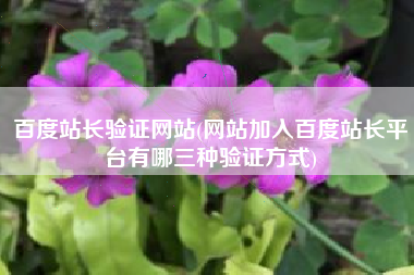 百度站长验证网站(网站加入百度站长平台有哪三种验证方式)