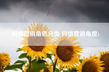 网络营销角色分类(网络营销角度)