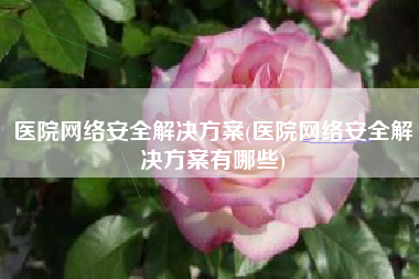 医院网络安全解决方案(医院网络安全解决方案有哪些)