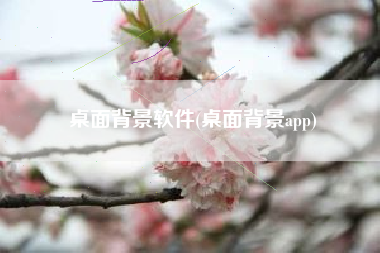桌面背景软件(桌面背景app)