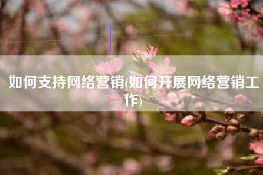 如何支持网络营销(如何开展网络营销工作)