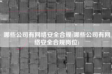 哪些公司有网络安全合规(哪些公司有网络安全合规岗位)