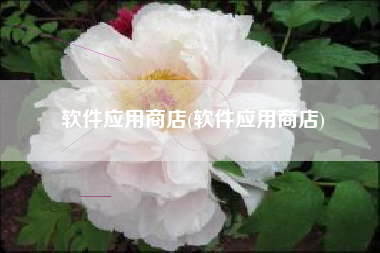 软件应用商店(软件应用商店)