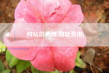 网站的费用(网址费用)