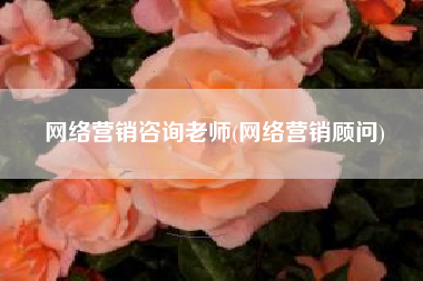 网络营销咨询老师(网络营销顾问)