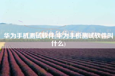 华为手机测试软件(华为手机测试软件叫什么)