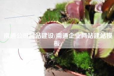 南通公司网站建设(南通企业网站建站模板)