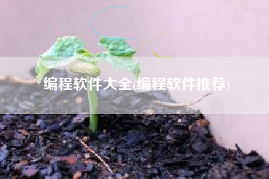 编程软件大全(编程软件推荐)