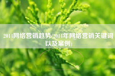 2014网络营销趋势(2014年网络营销关键词以及案例)