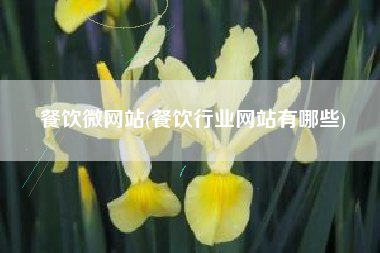 餐饮微网站(餐饮行业网站有哪些)