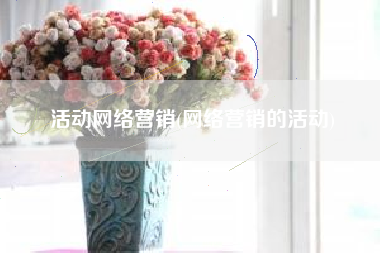 活动网络营销(网络营销的活动)