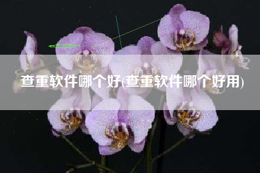 查重软件哪个好(查重软件哪个好用)