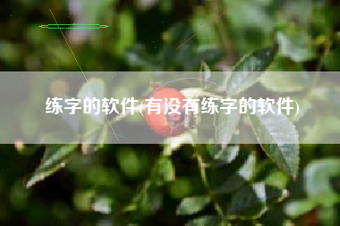 练字的软件(有没有练字的软件)