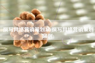撰写网络营销策划案(撰写网络营销策划案例)