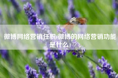 微博网络营销任职(微博的网络营销功能是什么)