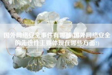 国外网络安全事件有哪些(国外网络安全的先进性主要体现在哪些方面?)