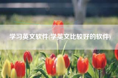 学习英文软件(学英文比较好的软件)