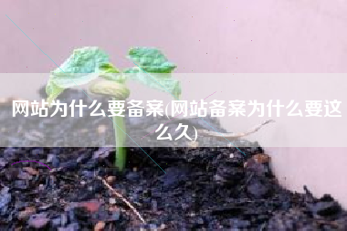 网站为什么要备案(网站备案为什么要这么久)