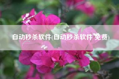 自动秒杀软件(自动秒杀软件 免费)