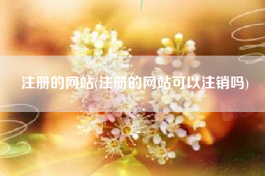 注册的网站(注册的网站可以注销吗)