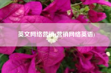 英文网络营销(营销网络英语)