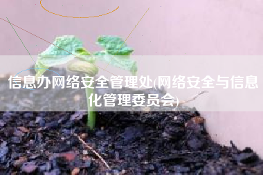 信息办网络安全管理处(网络安全与信息化管理委员会)