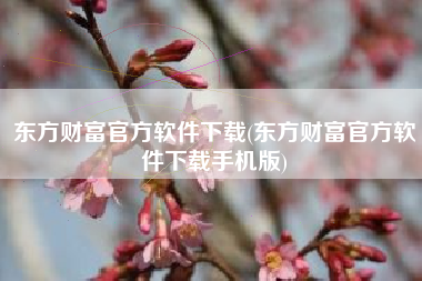 东方财富官方软件下载(东方财富官方软件下载手机版)