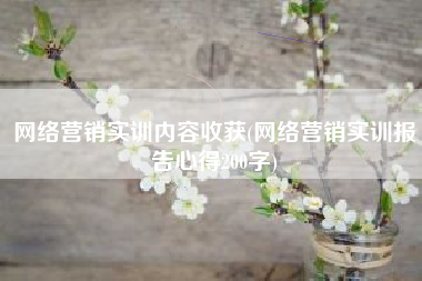 网络营销实训内容收获(网络营销实训报告心得200字)