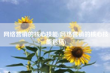 网络营销的核心技能(网络营销的核心技能包括)