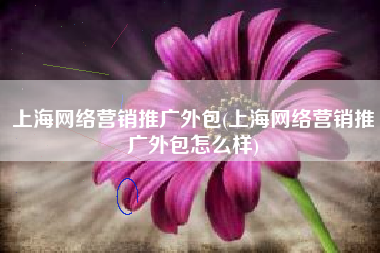 上海网络营销推广外包(上海网络营销推广外包怎么样)