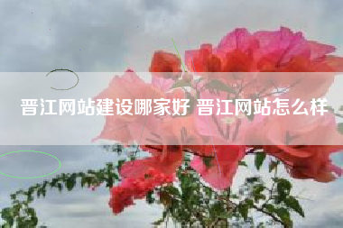晋江网站建设哪家好 晋江网站怎么样