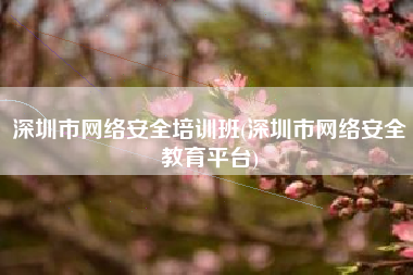 深圳市网络安全培训班(深圳市网络安全教育平台)