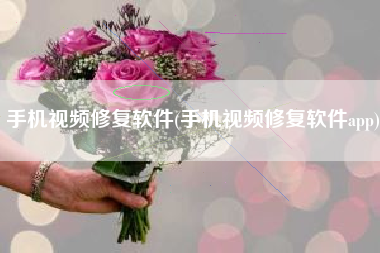 手机视频修复软件(手机视频修复软件app)