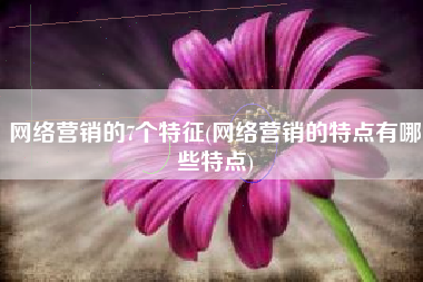 网络营销的7个特征(网络营销的特点有哪些特点)