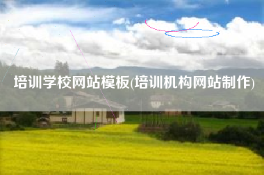 培训学校网站模板(培训机构网站制作)