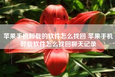 苹果手机卸载的软件怎么找回 苹果手机卸载软件怎么找回聊天记录