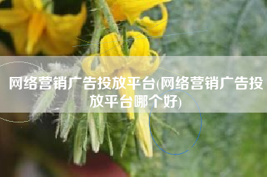 网络营销广告投放平台(网络营销广告投放平台哪个好)