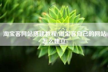 淘宝客网站搭建教程(淘宝客自己的网站怎么建立)