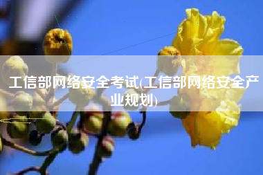 工信部网络安全考试(工信部网络安全产业规划)