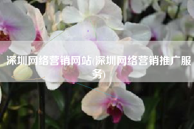 深圳网络营销网站(深圳网络营销推广服务)