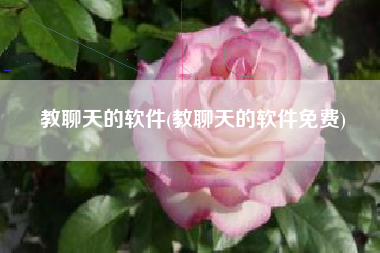 教聊天的软件(教聊天的软件免费)